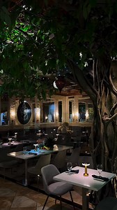 Thanksgiving Fusion Feast is Here! ✨ Enjoy rich, signature flavors with Tabla Indian Restaurant's special Thanksgiving Menu. Available for a limited time: Nov 26th to 30th. Indulge in festive favorites like the Turkey Tikka Sizzler and Pumpkin Dessert Delight. Let us make your holiday effortless! Tabla Winter Park Awaits. ️ 216 N Park Ave # H, Winter Park, FL 32789 | Tabla Indian Restaurant Winter Park | Facebook