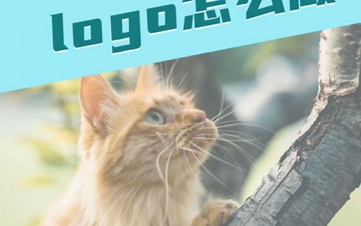 来看看这只可爱的小猫Logo