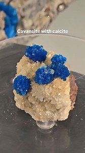 Available for sale Cavansite with calcite Locality, pune Maharashtra India 🇮🇳 Interested DM me and contact me . . . . . #cavansite #calcite #chalcedony #apophyllite #stilbite #pentagonite #crystals #zeolite #quartz #minerals #crystalsforsale #fineminerals #scolecite #heulandite #india #mesolite #discoballapophyllite #const #naturen #greenapophyllite #crystalsofinstagram #okenite #kristaller #kristall #crystalstones #crystalshelf #zeolitecrystal #crystalshealing #tucsonshowcrystals #crystalyoga