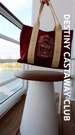 destiny castaway club pearl member gifts #disneycruiseline #disneydestiny