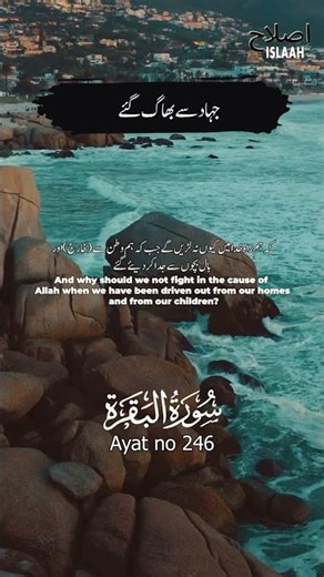 Surah Baqarah verses 246 | Quran Translation ##quran #qurantranslation