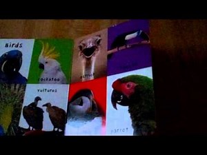 First 100 animals picture book