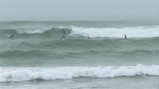 King Tides, providing the year's highest high tides and lowest low tides, roll in Thursday and Friday.