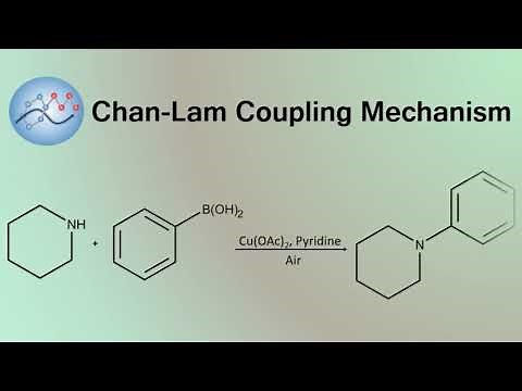 Chan-Lam Coupling Mechanism | Organic Chemistry
