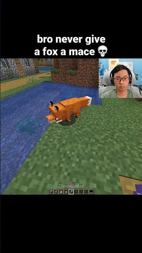 Minecraft Fox Moment