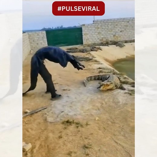 94K views · 419 reactions | This is why women live longer than men ️:Courtesy #PulseViral | Pulse Kenya | Facebook