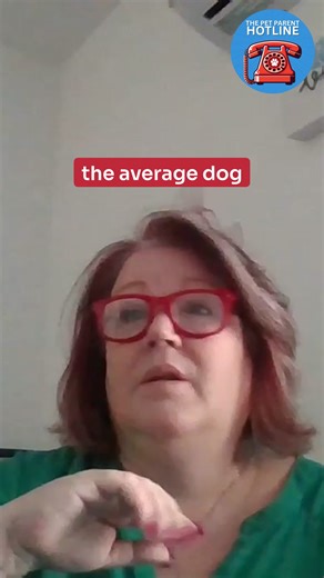 Ever wonder if your dog ever stops shedding? Here’s the truth—each...