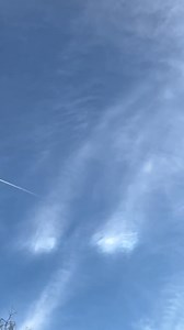 Ok friends, this is the difference between a normal contrail and Climate Engineering. The contrail dissipates quickly while the Climate Engineering spreads out and covers the entire sky. | Paul Greco