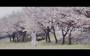 【中字】まねきケチャ - 「きみわずらい」MV