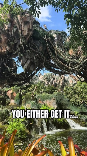 Understanding Disney's Animal Kingdom: Pandora Experience