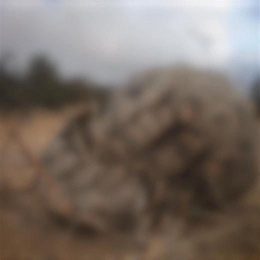 There is a pangolin out there that urgently needs your support. She is one of hundreds of innocent pangolins torn from the wild each day, totally helpless as she is shipped across the world to be killed for her scales and meat. A pangolin needs your help. Camera traps could save her life. They act as watchful eyes in the wild, helping us to understand these secretive creatures, deterring those that would do them harm and helping us to stop poaching at its source. Please, sponsor a pangolin today