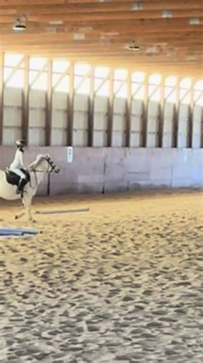 All apol0gies🎸 (@lolpres12)’s videos with original sound - All apol0gies🎸