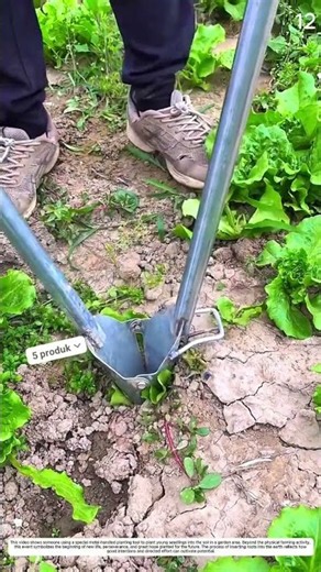 Without Bending! : How to Plant Seedlings Fast with Perfect Upright Results