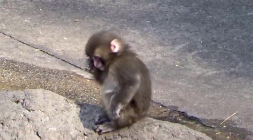#punchkun #punchi #punch #babypunch | baby boy punch scene