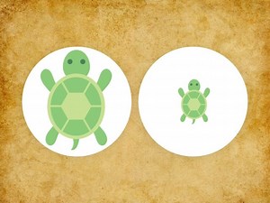 Over In The Meadow Big/little