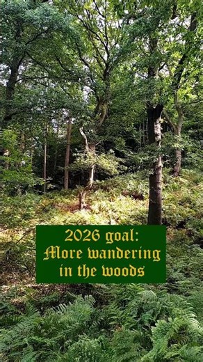 Wildwoods (Woodland Wandering) #ambientmusic #woodlandambience #melodicambientmusic