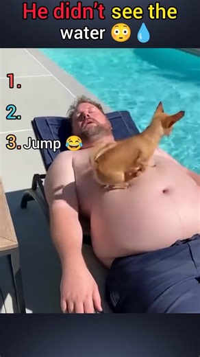 Top 3 Dog Water Fails That Went Wrong 😂💧🐶 #shorts #funny #animals #fails