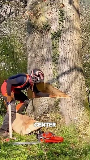The Secret to Cutting Big Trees Safely 🤫🪵