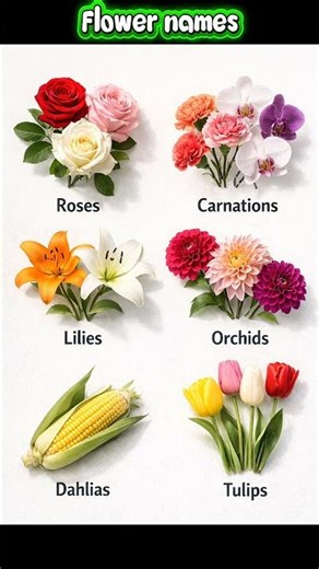 Types of Flowers with Names | Learn Flower Categories