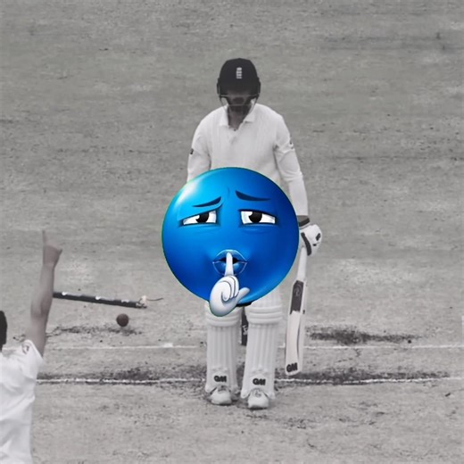 Best Deliveries in Cricket 🏏.