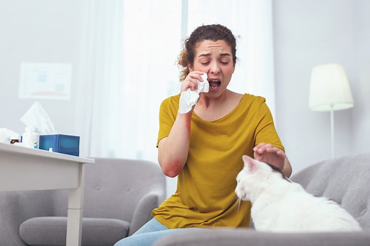 Allergie au chat : symptômes, que faire ?
