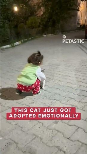 Girl Hugging Cat Shares the Sweetest Furry Friendship