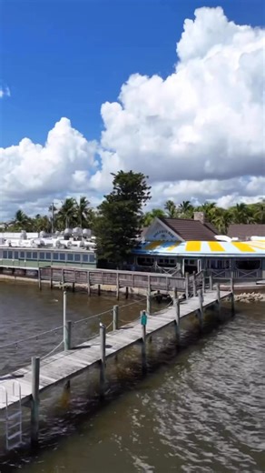 21K views · 242 reactions | Its a beautiful day in paradise! Join us here at The Dolphin Bar for delicious specials, waterfront views and more!  | Dolphin Bar | Facebook