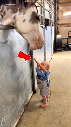 Cute Boy Saves Hungry Horse 🥕❤️ |#shortsfeed #trending