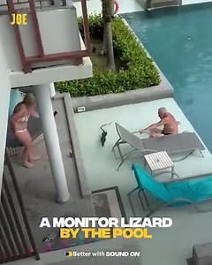 They are Thailand's mermaids 🧜‍♀️ | JOE.co.uk