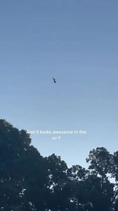 Why This $80 RC Jet Is My Favorite UMX Yet