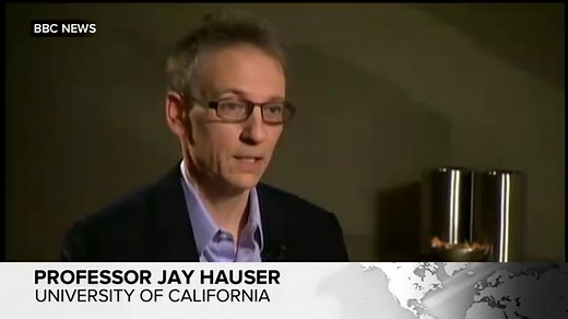 World's Largest Atom Smasher, the Large Hadron Collider, Reportedly Shut Down by Rodent