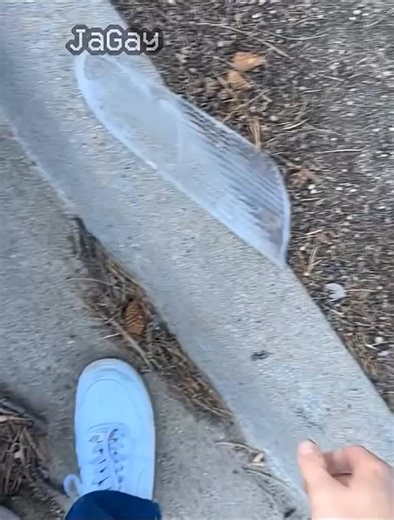 Discover Half-Life 0.2.2: No Effort Gameplay Guide