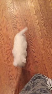 207 reactions · 9 comments | Come on Mama! Let’s play! | The Pickle Diaries | Facebook