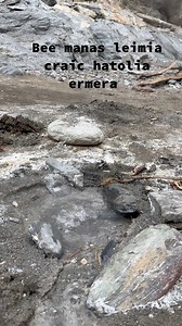 6.7K reactions · 1.5K shares | Explore Timor Leste  || Be Manas Leimia Kraik Hatulia Ermera Ransu ho Natureza Timor nee Diferente ️珞 #followersreels #turismokomunitariu #exploretls #fypシ゚ #thankyou | Santana Senanes | Facebook