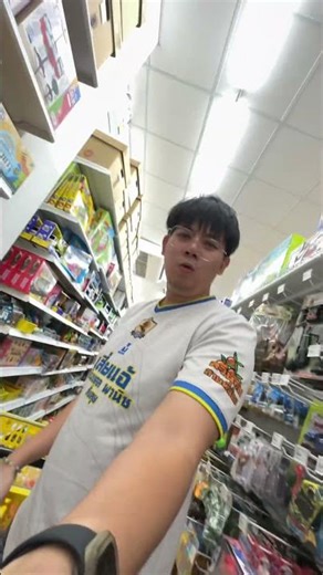 Fake snake