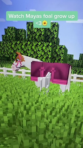 Naming Your Minecraft Horse: Creative Ideas and Mods