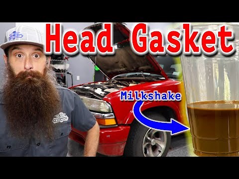 Does Your Car Have a BLOWN HEAD GASKET?