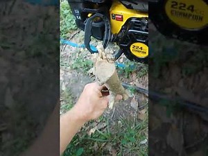 DIY repair - Champion 3" wood chipper