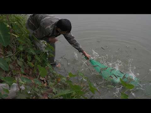 Secret Shrimp Catching Method | Traditional Fishing in Rural Life