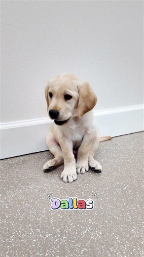 Which Name Are You Choosing?