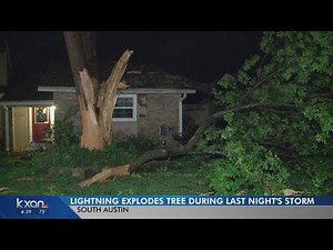 'Looked like a bomb had gone off.' Lightning splinters tree outside south Austin home