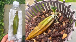 7.1M views · 171K reactions | Garden & House V&N on Reels | Facebook