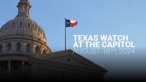 Executive Director Ware Wendell testifies in the House Committee on State Affairs about the operation of the Texas Windstorm Insurance Association (TWIA) and the protection of coastal policyholders. Tell state lawmakers to lower your insurance rates at https://www.texaswatch.org/lower-your-insurance-rates. | Texas Watch