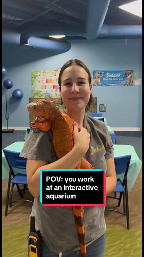 Interactive Aquarium Fun at SeaQuest