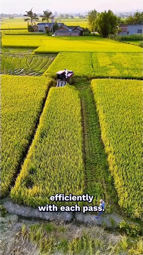 Efficient Crop Harvesting Machine | Outdoor Revival