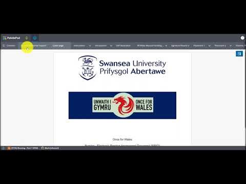 External Assessors Introduction to PebblePad