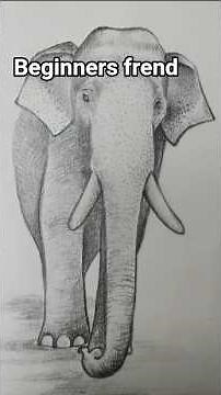 Realistic Elephant pencil drawing. #art #realstick #pencildrawing