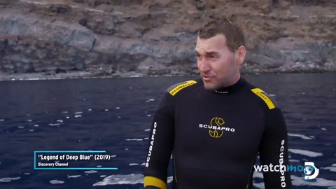 8 Sea Creature Mysteries That Will Freak You Out