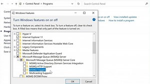 Installing Message Queuing services (MSMQ) on Windows