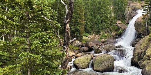 Gov. Healey awards grants to wildlife conservation